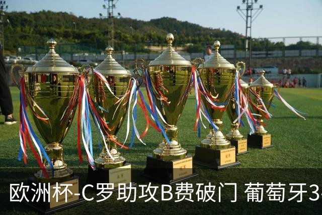 欧洲杯-C罗助攻B费破门 葡萄牙3-0土耳其